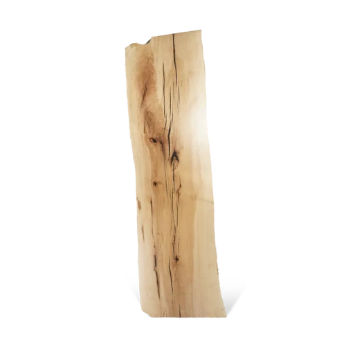 1217 Gold Grade Sycamore Slab 142" x 40"