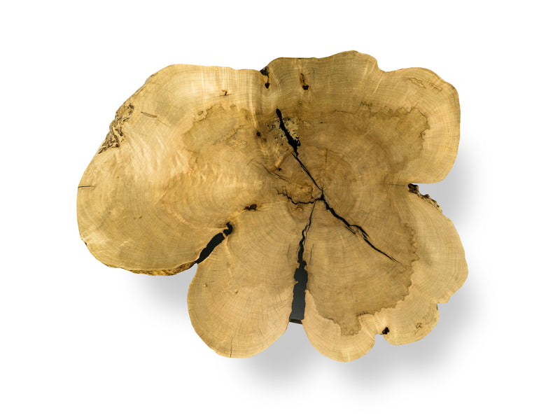1074 Maple Live Edge Wood Coffee Table 49" D